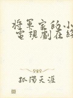 将军家的小娘子 电视剧在线观看