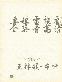 妻娘电视剧免费全集看高清