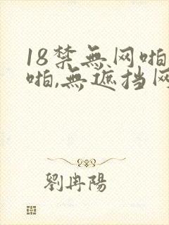 18禁无网啪啪啪,无遮挡网站