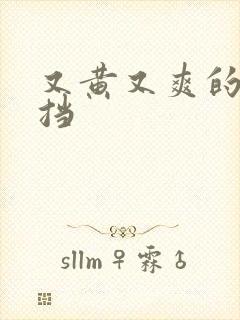 又黄又爽的无遮挡