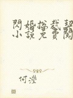 闪婚总裁契约妻小说免费阅读全文