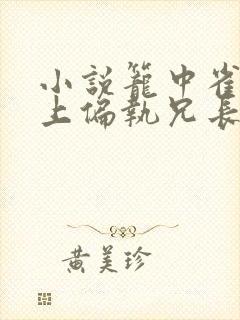 小说笼中雀:惹上偏执兄长逃不掉