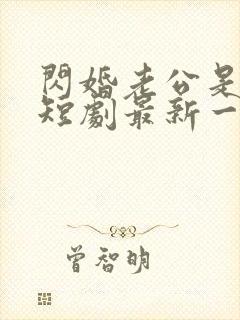 闪婚老公是豪门短剧最新一集