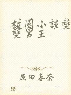 校园小说双学霸双男主