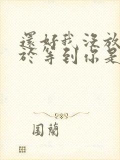 还好我没放弃终于等到你是什么歌