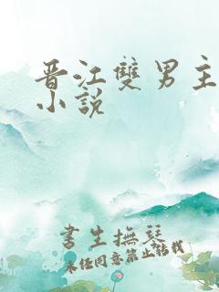 晋江双男主原耽小说