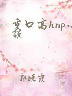 重口高hnp小说