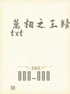 万相之王精校版txt