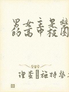 男女主是双学霸的高中校园小说