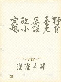 宗政辰秦野的穿越小说免费阅读