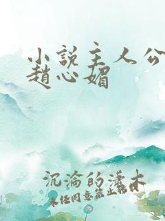 小说主人公陈斌赵心媚