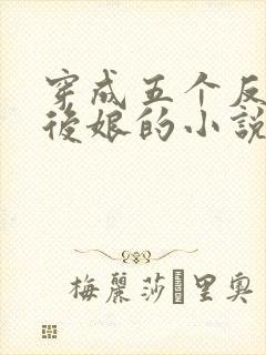 穿成五个反派的后娘的小说