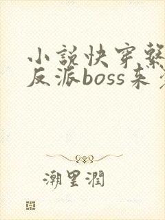 小说快穿系统之反派boss来袭