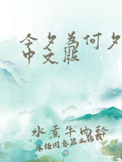 今夕为何夕短剧中文版