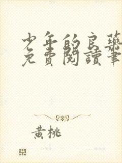 少年的良药全文免费阅读笔趣阁