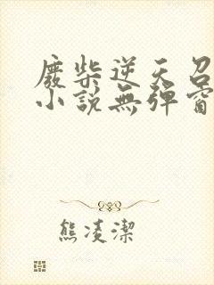 废柴逆天召唤师小说无弹窗