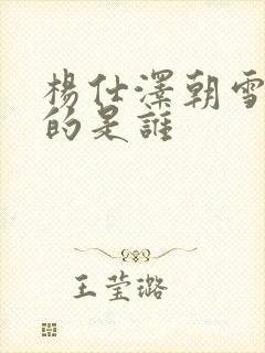 杨仕泽朝雪录演的是谁