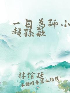 一日为师小说刘超孙敏