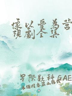 像以爱为营的电视剧全集