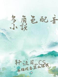 多角色配音有声小说