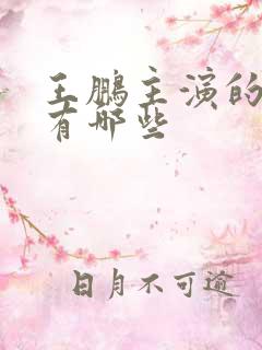 王鹏主演的短剧有哪些