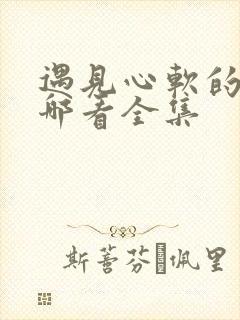 遇见心软的神在哪看全集