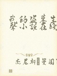 我的盗墓生涯有声小说在线收听