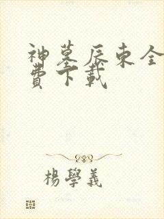 神墓辰东全本免费下载