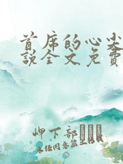 首席的心尖宠小说全文免费阅读