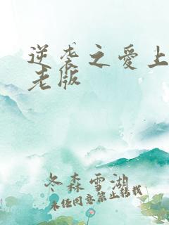 逆袭之爱上情敌老版