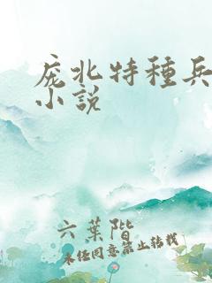 庞北特种兵穿越小说