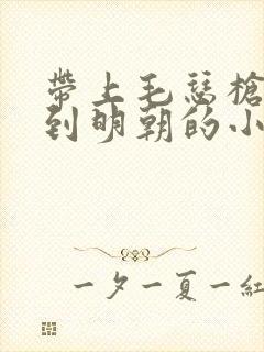 带上毛瑟枪穿越到明朝的小说