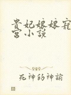 贵妃娘娘宠冠后宫小说