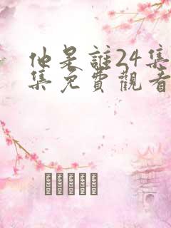 他是谁24集全集免费观看