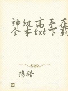 神级高手在都市全本txt下载