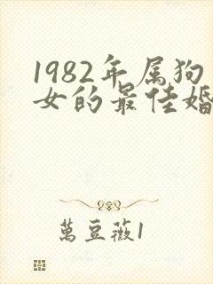 1982年属狗女的最佳婚配