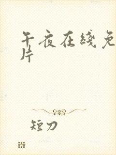 午夜在线免费看片