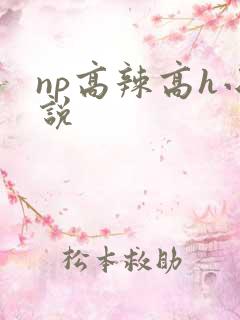 np高辣高h小说