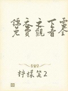 锦衣之下电视剧免费观看全集观看