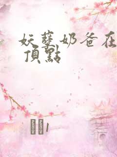 妖孽奶爸在都市 顶点