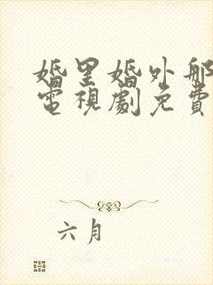 婚里婚外那些事电视剧免费观看