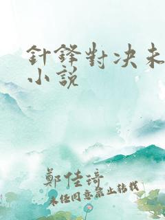 针锋对决未删减小说