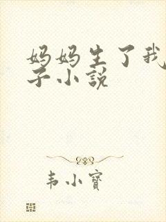 妈妈生了我的孩子小说