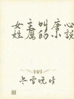 女主叫唐心男主姓厉的小说