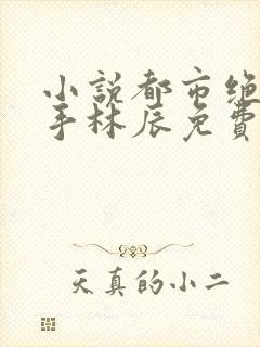 小说都市绝品高手林辰免费阅读