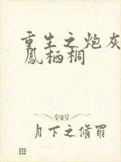 重生之炮灰逆袭 凤栖桐