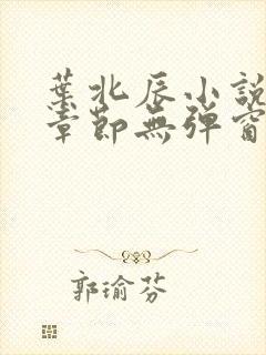 叶北辰小说最新章节无弹窗