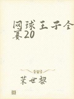 网球王子全国大赛20