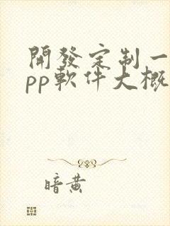 开发定制一个app软件大概多少钱