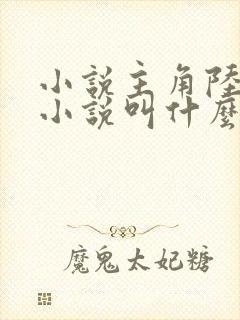 小说主角陆仁的小说叫什么